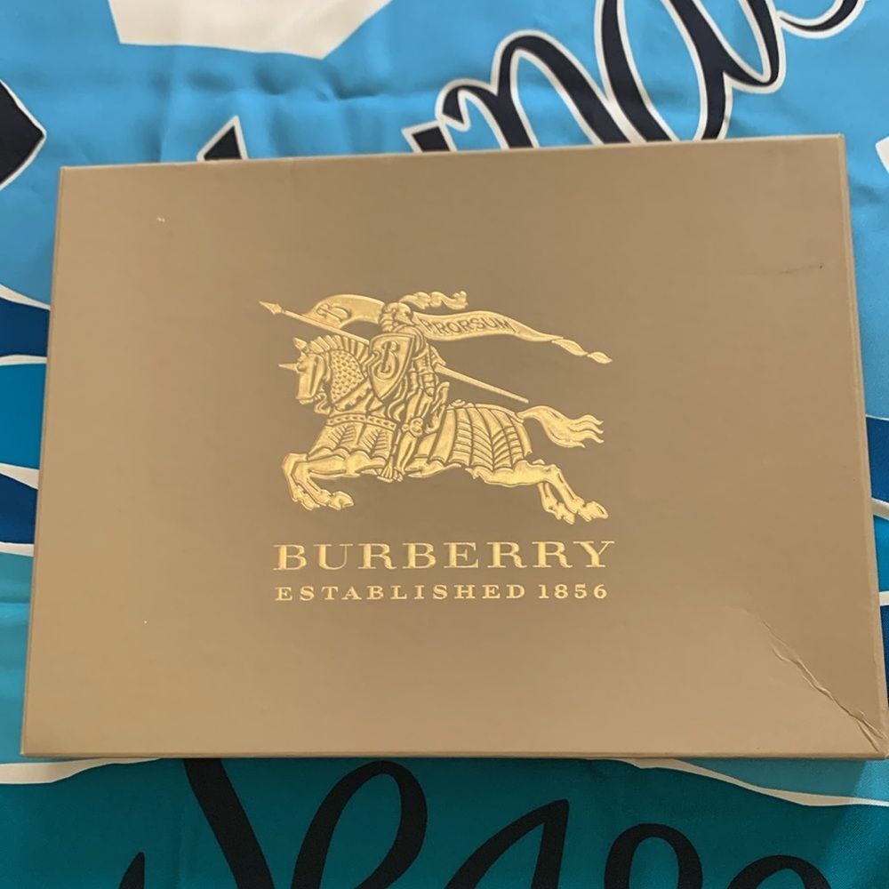 Burberry Prorsum Seascapes Landscapes Scarf Very Good Condition - Picture 3 of 3